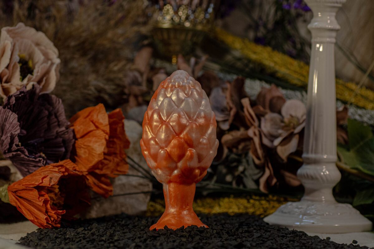 _DSC0029